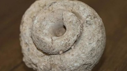 Adıyaman'da 70 milyon yıllık salyangoz fosili bulundu