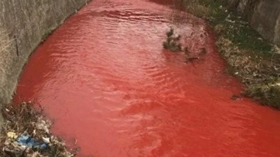 Ankara Çayı kırmızıya boyandı,  inceleme başlatıldı