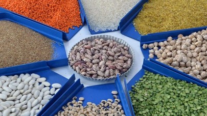 Bakliyat üretimi sağlanan desteklerle artıyor