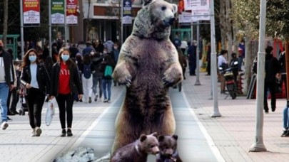 Bolulular isyan etti: Biz ayı mıyız?