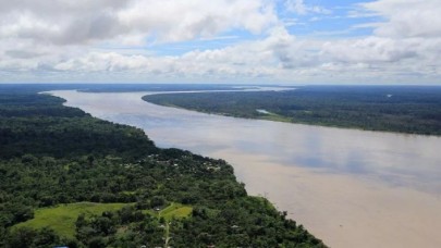 Facebook'ta satılık Amazon ormanı skandalı!