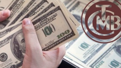 Merkez Bankası'ndan 93.3 milyarlık döviz satışı kimlere yapıldı: Canikli tek tek açıkladı