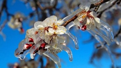 Meteoroloji'den birçok il için 'sarı' uyarı