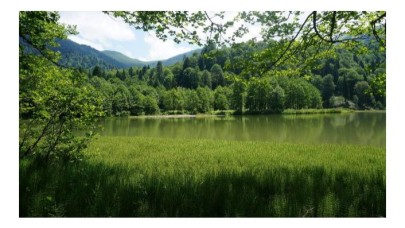 Türkiye ağaçlandırmada Avrupa birincisi
