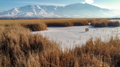 Van'da donan sazlıklar balıkçıların ve fotoğraf tutkunlarının uğrak yeri oldu