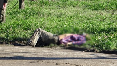 Yol kenarında vurulmuş halde bulunmuştu: Cinayetin sebebi halüsinasyon çıktı!
