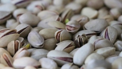 Almanlar Siirt fıstığını sevdi