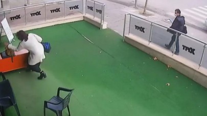 Ankara'da hamile kediye şiddet: Uyurken saldırdı,  çanta fırlattı