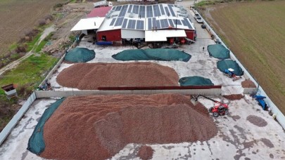 Devletten aldığı destekle işlerini büyüten çam fıstığı üreticisi 30 milyon dolarlık ihracata ulaştı