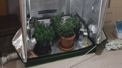 'Gaybubet evi'nde esrar serası