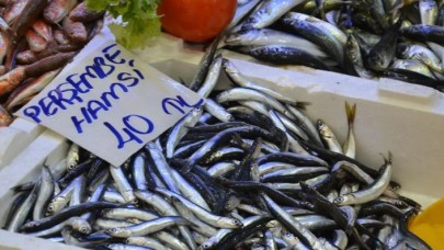 Hamsinin fiyatı kırmızı etle yarışıyor