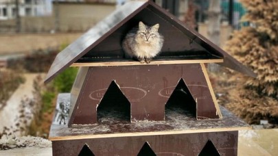 İnşaat atık malzemeleri sokak hayvanları için sıcak yuvaya dönüştürüldü