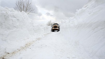 Muş'ta 'kar kaplanları' 4 metre karla kaplı köy yollarını açmaya çalışıyor