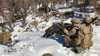 Şırnak ve Siirt'te Eren-12 Güleşli Operasyonu başlatıldı