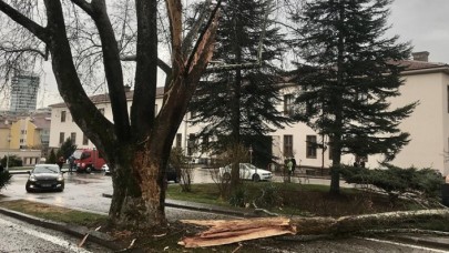 TBMM bahçesine yıldırım düştü