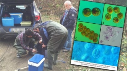 Türk bilim insanları keşfetti! Hocaların adıyla dünya literatürüne geçti