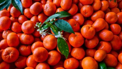 Türkiye,  Akdeniz ülkeleri arasında turunçgil üretiminde 2. sırada