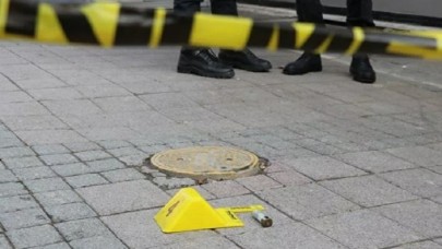 Ataşehir'de vahşet: Gözleri oyulmuş kedi cesetleri bulundu