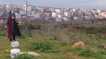 Hemşire Rukiye Toptaş Evcim,  sokak hayvanlarını 2 yıldır besliyor