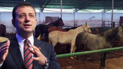 İBB'nin Hatay'a gönderdiği kayıp 100 atla ilgili kan donduran detaylar ortaya çıktı!