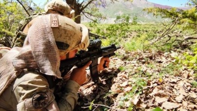 Şırnak ve Hakkari'de 'Eren Cudi-Besta' ve 'Eren Kazan-Oğul' operasyonları başlatıldı