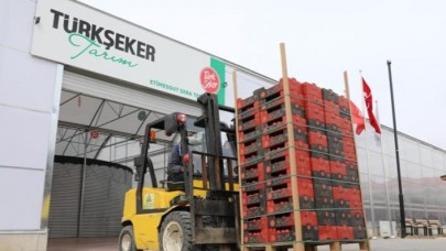 Türk Şeker Fabrikası yeni üretim dönemine hazırlanıyor