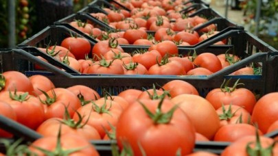 Türkiye'nin  2020 Dış Ticaret Verileri Raporu  yayımlandı