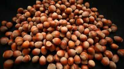 Türkiye'nin fındık ihracatının yüzde 40'ı Trabzon'dan