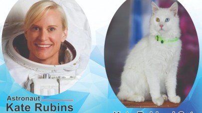 Van Valiliği,  Van Gölü'nü dünyaya tanıtan astronot Kate Rubins'i ağırlamak istiyor