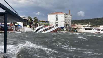 Fırtına ağaçları da devirdi: Ayvalık'ta 20 tekne battı