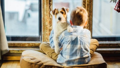 Hangi Köpek Maması (Kuru,  Konserve,  Açık) Küçük Dostunuz İçin Uygun? Tavsiye Köpek Mamaları