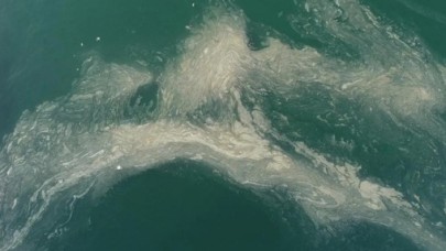 Marmara Denizi'nden sonra Bandırma Körfezi'nde de görüldü!