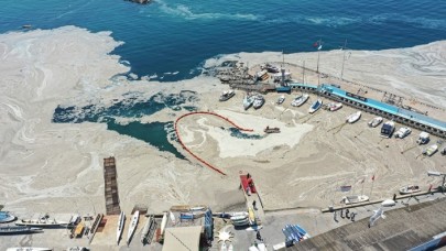 Bakanlık 'Türkiye'nin en büyük seferberliği' dedi ve 7 ilin valiliğine genelge gönderdi