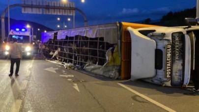 Bursa'da kaza: Yusuf Şal öldü,  Türkan Şal ve bebeği ağır yaralı