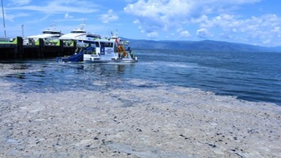 Marmara Denizi'ndeki müsilaj sorununun çözümü için ortak eylem planı hazırlanacak