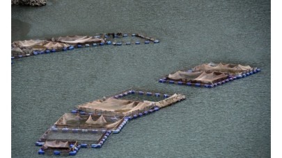 Su ürünlerinden 5 ayda yarım milyar dolar ihracat!