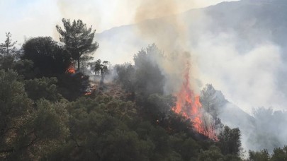 Aydın'da ormanlık alanda çıkan yangına müdahale ediliyor