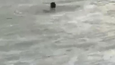 Çayeli'nden denize girdi,  cesedi Gürcistan'dan çıktı: Hasan Furuncu öldü