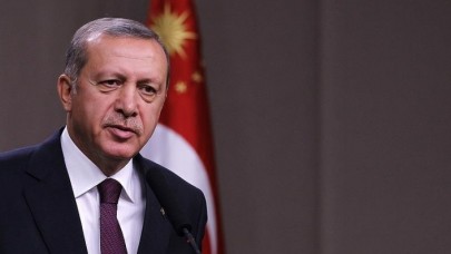 Cumhurbaşkanı Erdoğan'dan yangınlarla ilgili ilk açıklama