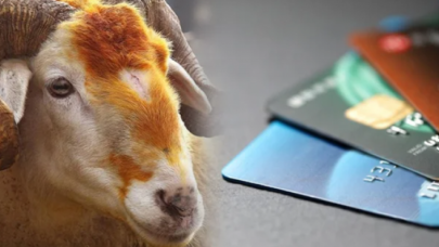 Diyanet'ten ‘Kredi kartıyla kurban satın almak caiz mi?' sorusuna yanıt