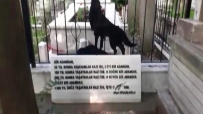 Hüseyin Nihal Atsız'ın mezarına çirkin saldırı! Nihal Atsız kimdir?