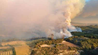 Osmaniye'deki orman yangınıyla ilgili 5 şüpheli gözaltına alındı