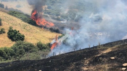 Sabotaj mı? Bu kez de İzmir Kiraz'da orman yangını!