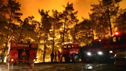 Tarım ve Orman Bakanı Bekin Pakdemirli'den yangınlarla ilgili flaş açıklama