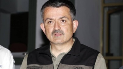 Bakan Pakdemirli: 2'si dışında tüm orman yangınları kontrol altına alındı
