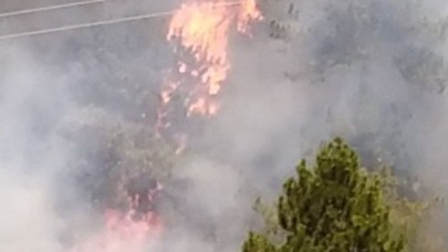 Bir yangın da Denizli'de: Büyüyor!