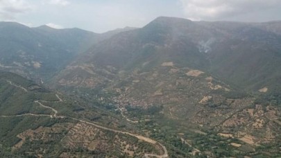 Bir yangın daha: İzmir Tire'de çıktı