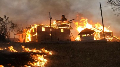 Eski Orman Genel Müdürü Sağkaya: Yangınlar planlı bir şekilde çıkarıldı