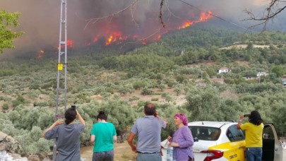 İşte yangınlarda son durum! Bakan Pakdemirli açıkladı: 6 yerde devam ediyor