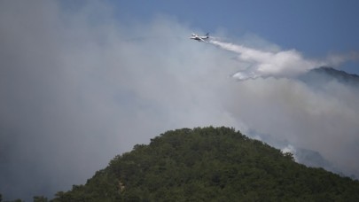 Kazdağları'nda yangın sürüyor: Yangın söndürme çalışması yapanlara ayı saldırdı,  yaralı var
